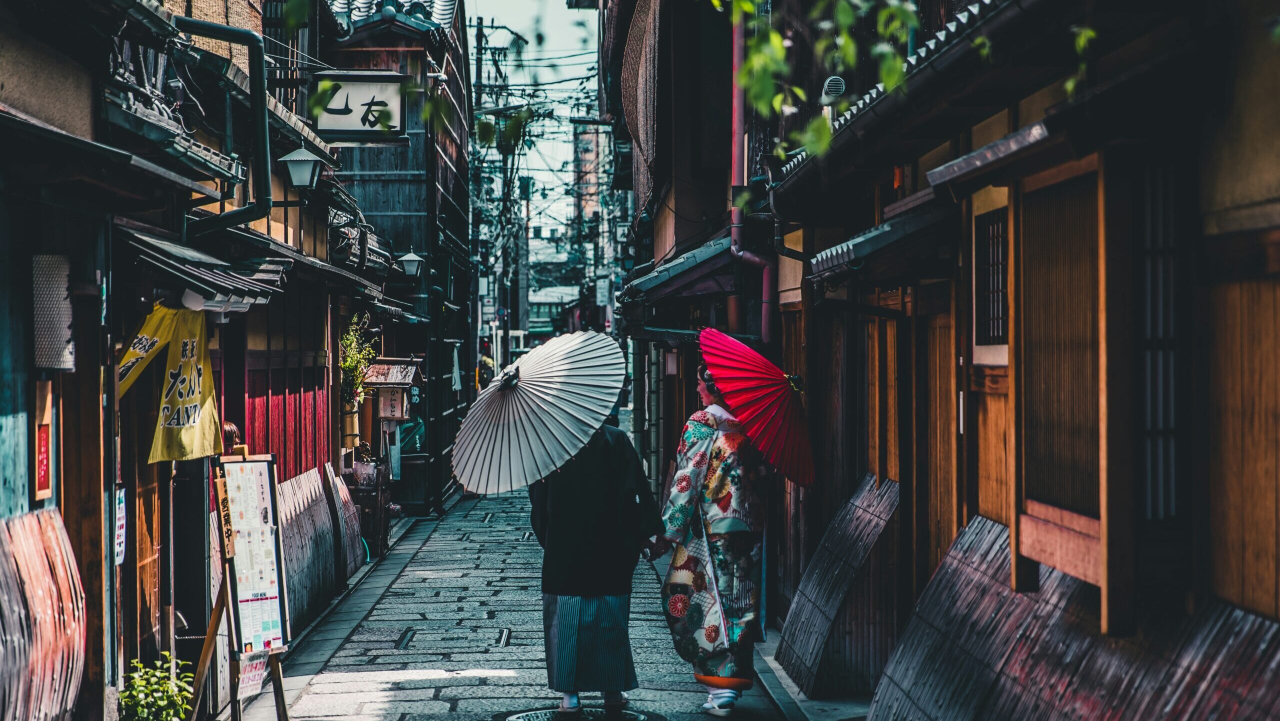 andre-benz-MsMISAIe8Qw-unsplash andre-benz-MsMISAIe8Qw-unsplash