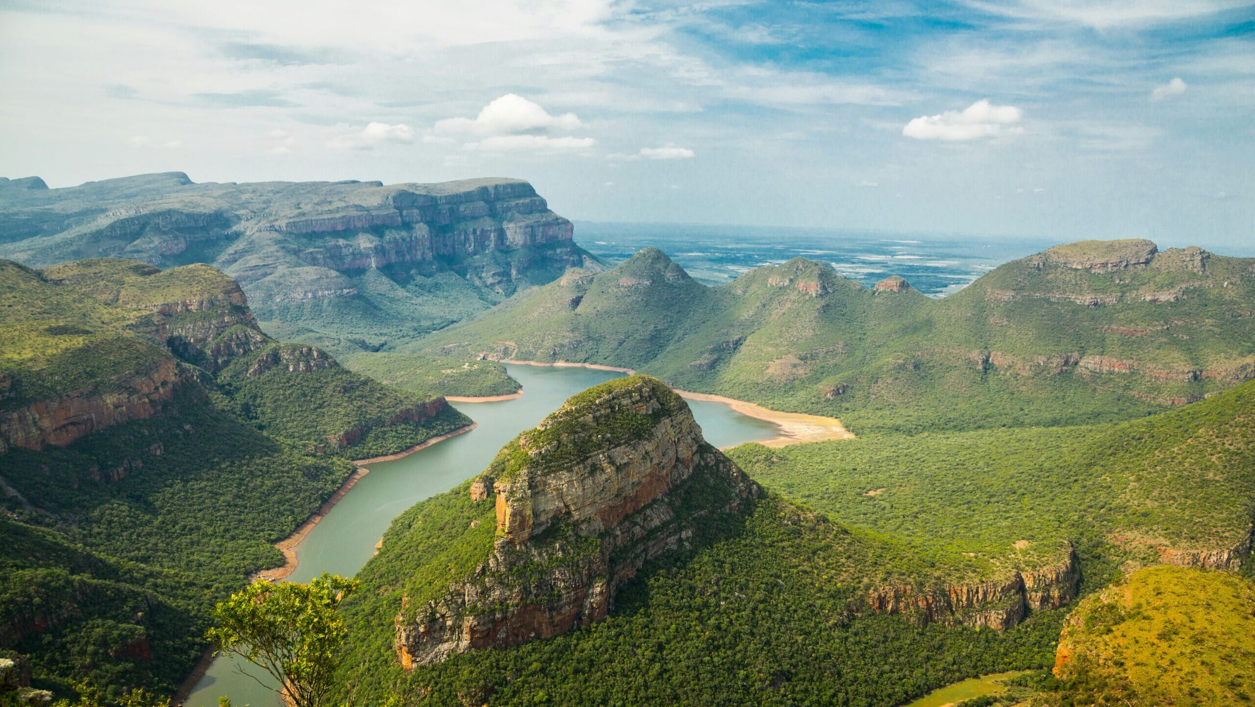 lina-loos-04-C1NZk1hE-unsplash lina-loos-04-C1NZk1hE-unsplash